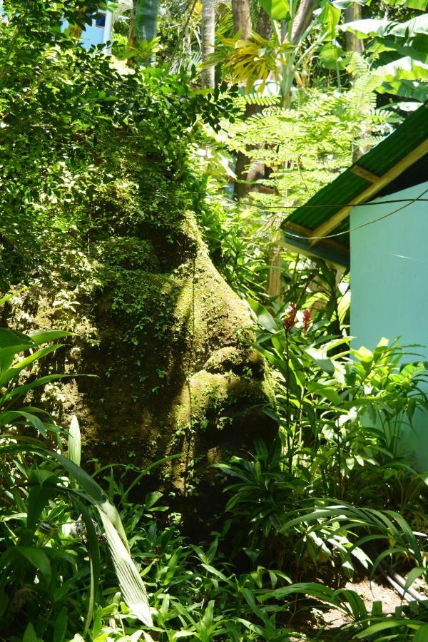 Hotel Luna Llena Nicoya Bagian luar foto